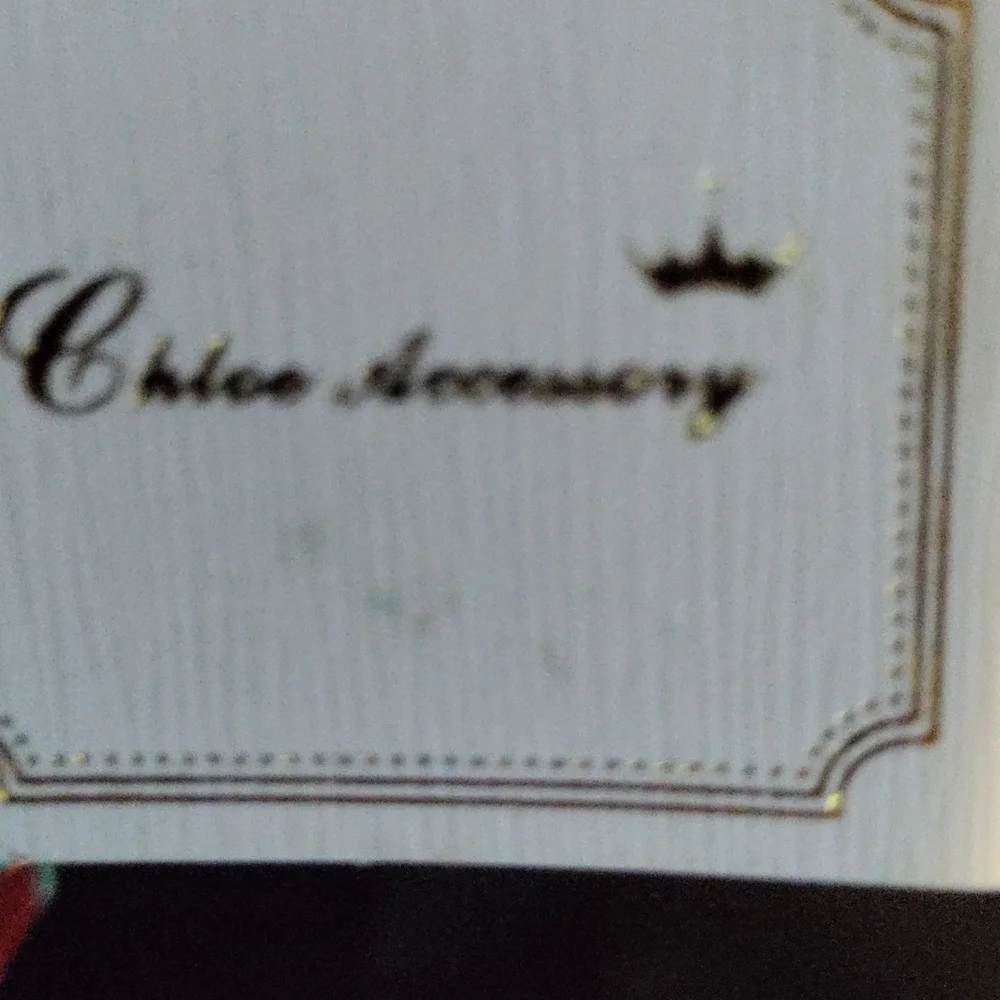 Chloe Accessory - Picture 3 of 3